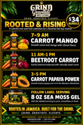 Rooted & Rising Bundle